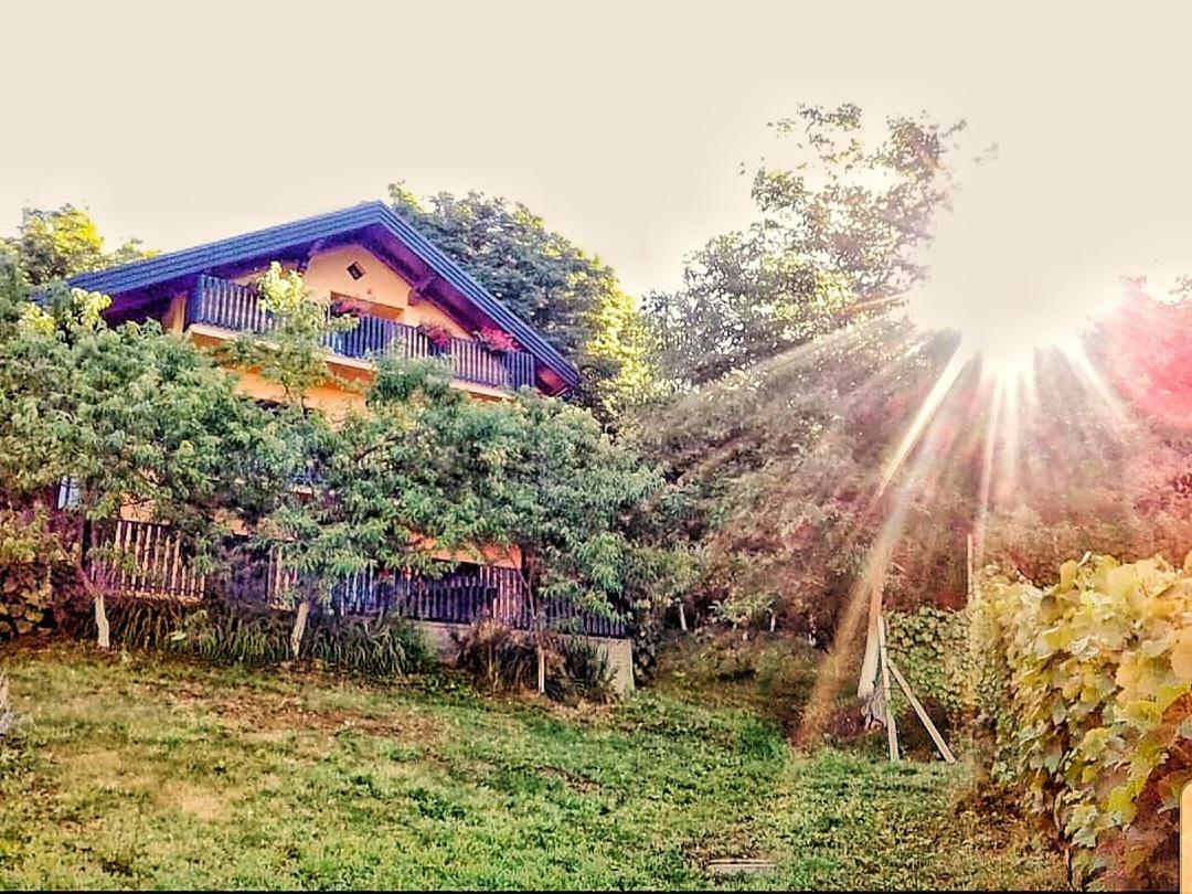 Apartman Potocki Krapina Exterior photo